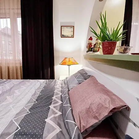 Our Nest In The Heart Of Apartment